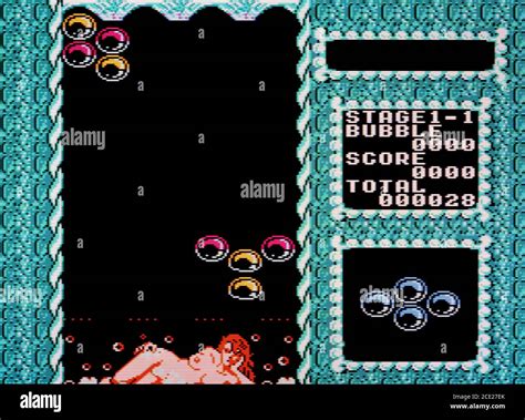 Bubble Bath Babes - Nintendo Entertainment System - NES Videogame ...