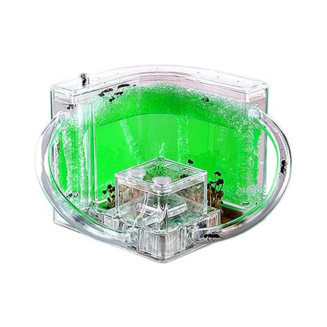 Buy EXBEPEAnt Farm for Kids Safety and Environment Gel Ant Colony ...