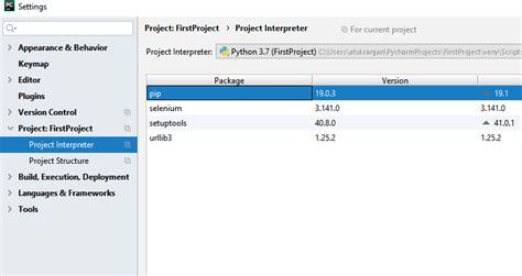 How to Install Selenium Python in PyCharm 的图像结果