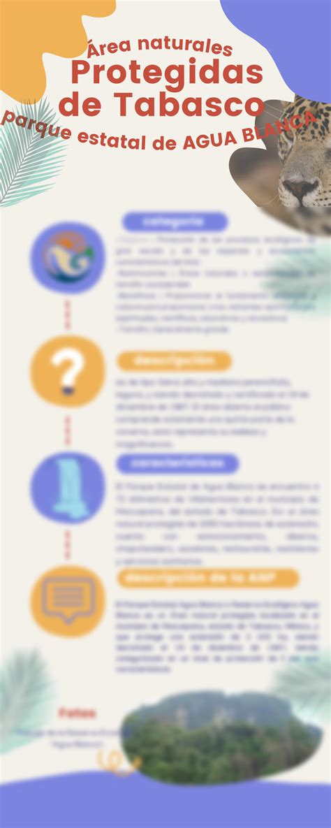 SOLUTION: Infografia protegidas de tabasco - Studypool