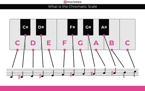 What Is A Chromatic Scale On Piano at Betty Kaufman blog