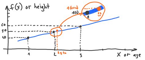 What is a function derivative and how to optimize functions - DataChild