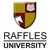 Raffles University Placements: Average & Highest Package 2025, Neemrana
