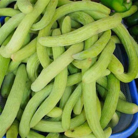 Awadh Desi Kakri Seed, Long Melon Seeds 100 Seeds Kakdi Seed|Summer ...