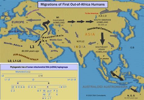 Human Evolution Migration Map 的图像结果