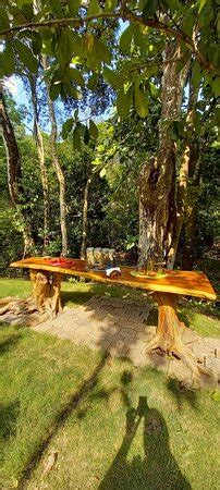 Choco Tour Costa Rica (San Mateo) - 2022 What to Know Before You Go ...