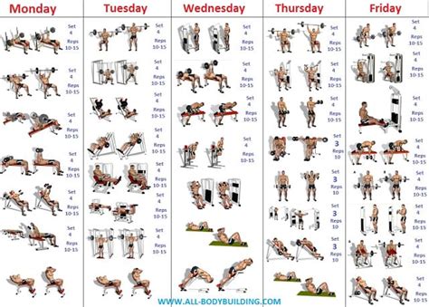 Bodybuilding Workouts 的图像结果