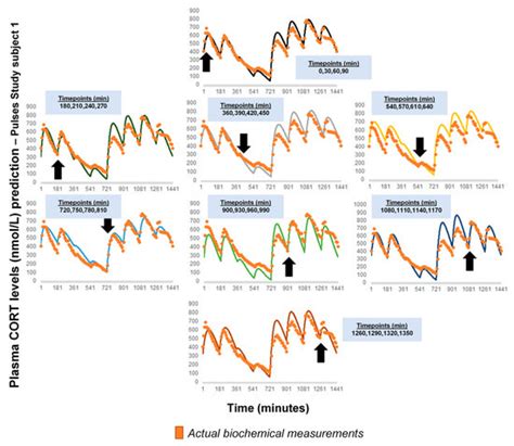Pharmaceutics | Special Issue : Chronotherapy and Chronomodulated Drug ...