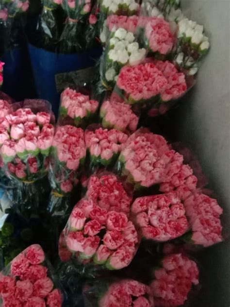 Flower Power Delhi| Carnations flower Delhi|Carnations Gazipur|Delhi ...