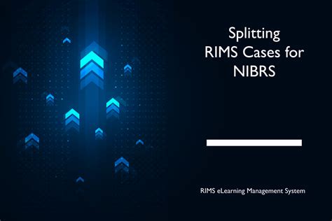 How to Use NIBRS 的图像结果