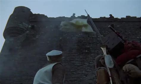 Monty Python Swallow 的图像结果