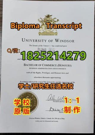 《Windsor毕业证》本科/硕士文凭办理
