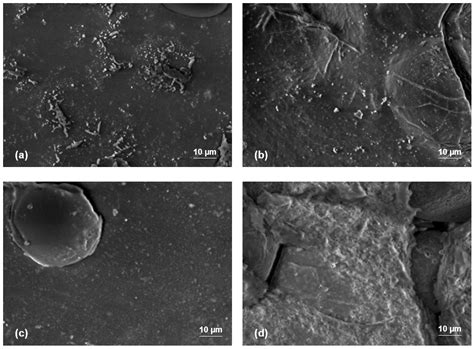PLA-Sago Starch Implants: The Optimization of Injection Molding ...