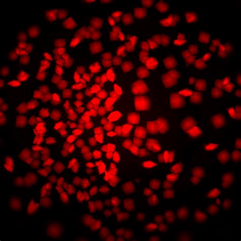 Image result for Protein Crystallization System