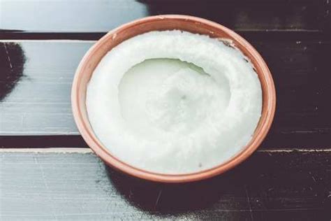 Lebanese Garlic Sauce Recipe: How to Make Lebanese Garlic Sauce Recipe ...