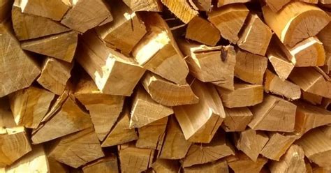 Drewno do Wędzenia BBQ workowane Buk Olcha Czereśnia Jabłoń