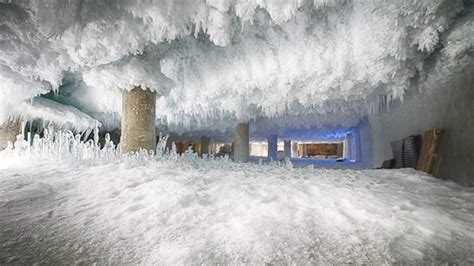 Image result for Timer for Walk-In Freezer