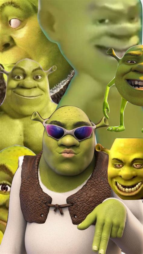 Funny Picture of Shrek