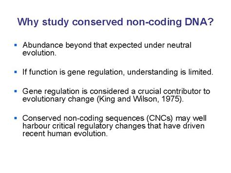 Image result for NonCoding DNA