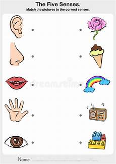 vasca privazione sensoriale sensi vista tocco odore udienza gusto sensi nello vasca privazione sensoriale sensi vista tocco odore udienza gusto sensi nello