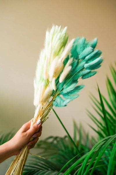 Mint Green Bunny tails-set of 50 stems – https://artecasa.in/