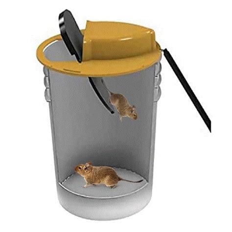 Image result for Mouse Bucket Device