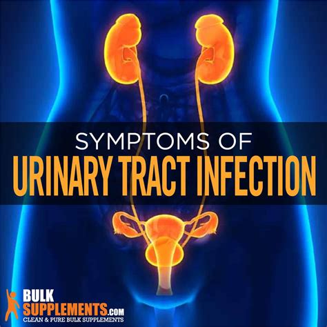 Can A Urinary Tract Infection Cause Bloating - EMSEKFLOL.COM