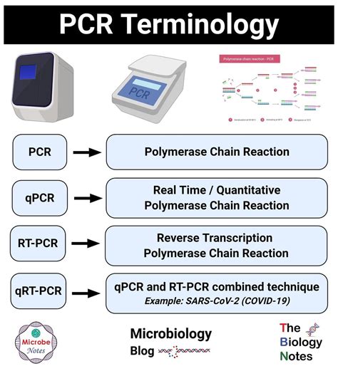 Quantitative Real Time Pcr Qpcr Youtube
