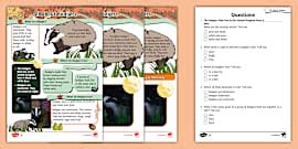 KS1 Autumn Leaves Poem Differentiated Reading Comprehension Activity