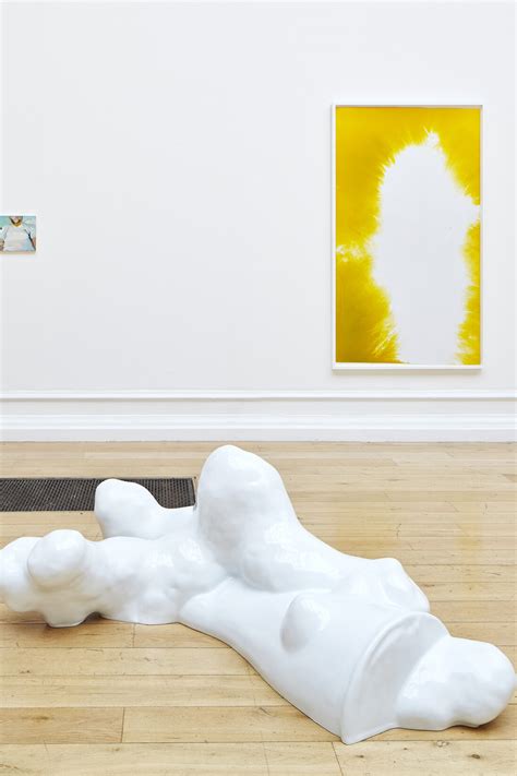 Installation view at the South London Gallery, 2014, Photo by Andy ...