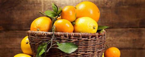 中国橙子什么季节成熟 中国橙子成熟是什么季节_知秀网