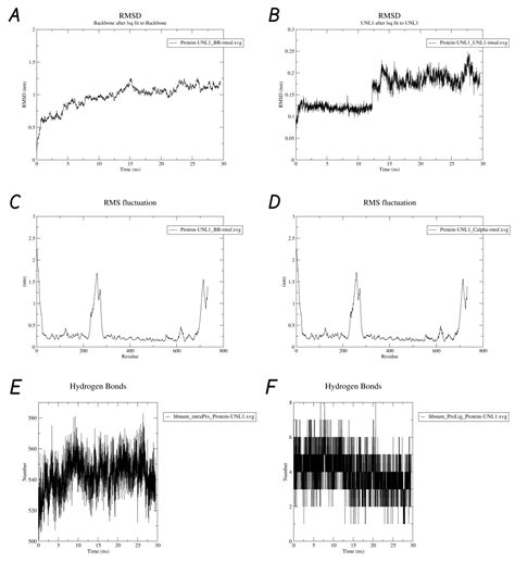 Berries as Nature’s Therapeutics: Exploring the Potential of Vaccinium ...