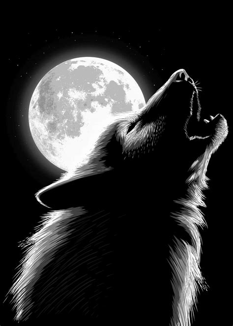 Image result for Real Wolves Howling