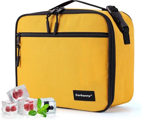 Amazon.com: Small cooler bag Small lunch bag for Office School Picnic ...