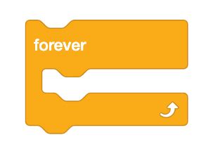 Image result for What Is the Python Code for Scratch Forever Function