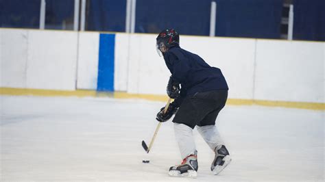 Hockey Stick and Puck 的图像结果