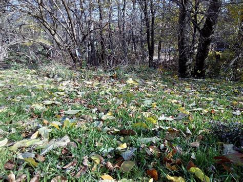 Image result for T6 Pro Installer Setup