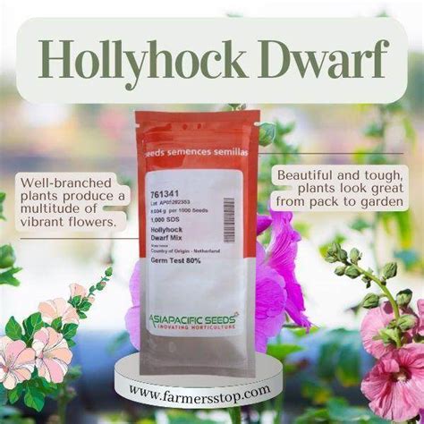Hollyhock Dwarf Mix (AsiaPacific Seeds, New Zealand) | Farmers Stop