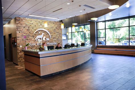 Vet Office Images at Rose Tims blog