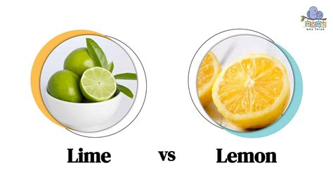 Lime vs. Lemon: 4 Key Differences and Health Benefits