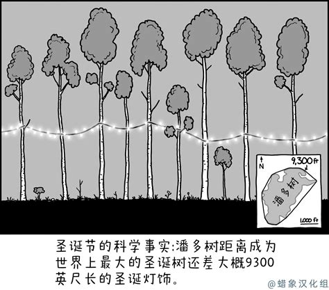 潘多树 - XKCD中文站