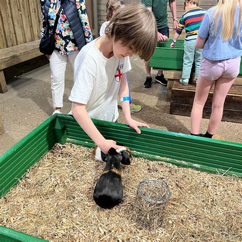BOCKETTS FARM PARK - All You Need to Know BEFORE You Go 2026 (with ...