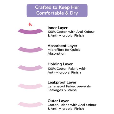 3-Pack Reusable Period Panty (Heavy Flow) – Plan B