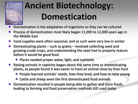 Ancient Biotechnology 的图像结果