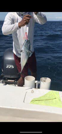 Papagayo Fishing (Playas del Coco) - 2022 What to Know Before You Go ...