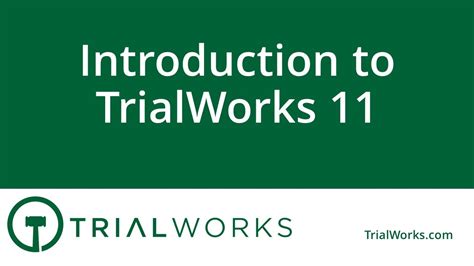 TrialWorks Tutorial 的图像结果