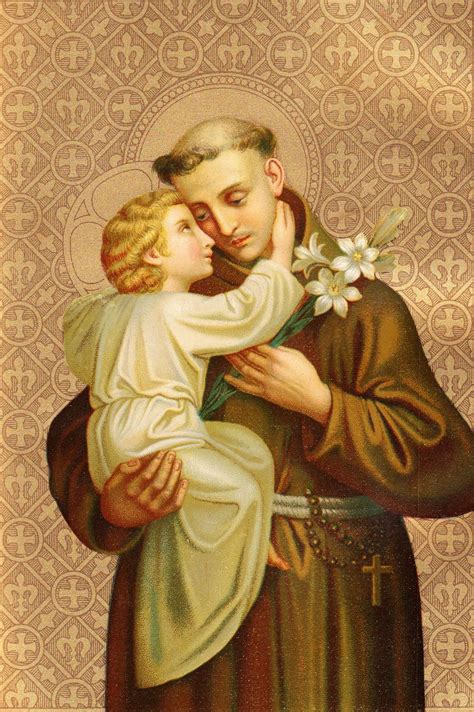 THE RACCOLTA | Saint anthony of padua, Saint anthony, Padua