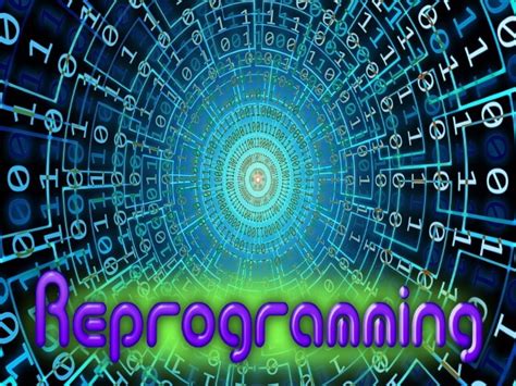 Image result for Reprogramming Script