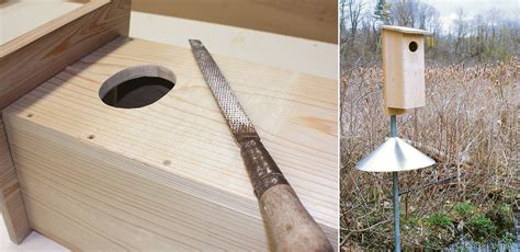 How to Build a Wood Duck Nest Box | Wood duck house, Wood ducks, Duck house