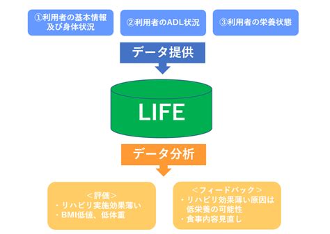 始動！科学的介護情報システム「LIFE」～LIFEが目指す新たな介護とは～ | メディカルサポネット